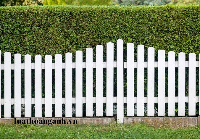 Đất làm nghĩa trang, nghĩa địa là gì? Đất sông, ngòi, kênh rạch và đất mặt nước chuyên dùng được quy định như thế nào?