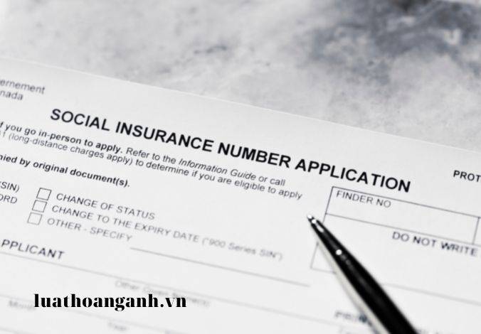 Vi phạm quy định về biểu diễn nghệ thuật, cuộc thi, liên hoan các loại hình nghệ thuật bị áp dụng biện pháp khắc phục hậu quả gì?