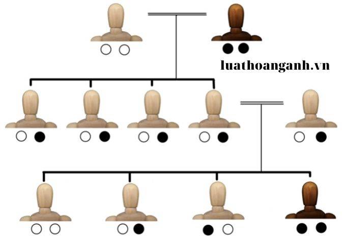 Thừa kế thế vị là gì?