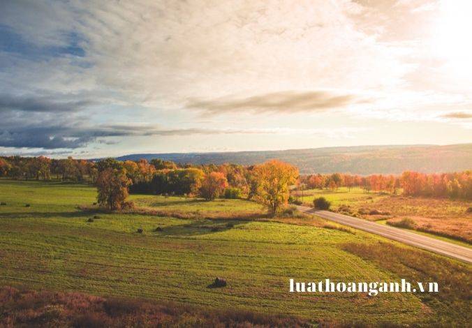 Trường hợp giao đất, cho thuê đất trước ngày 01/07/2014 được xử lý như thế nào? (P2)