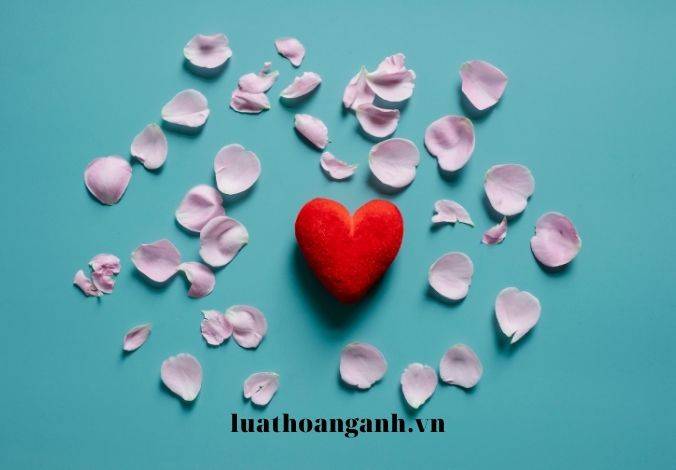 Mang thai hộ vì mục đích nhân đạo là gì?