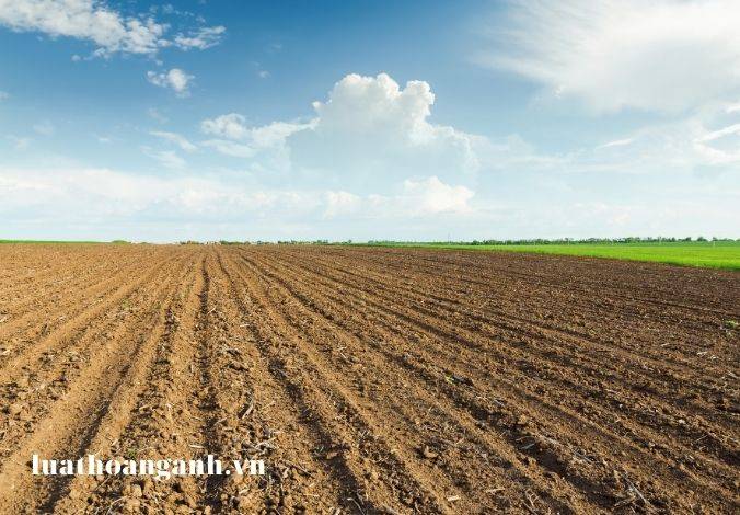 Giảm tiền thuê đất, thuê mặt nước là gì? 