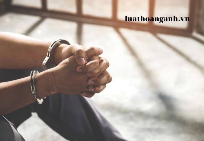 Tội sản xuất trái phép chất ma túy là gì?