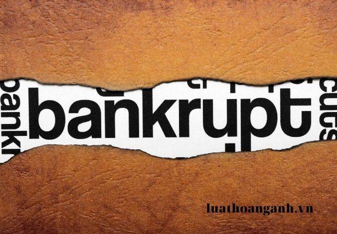 Tổng hợp các bài viết về Luật Phá sản