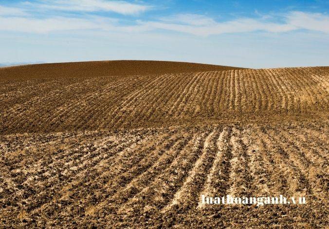 Các quy định về cưỡng chế phá dỡ nhà ở và chỗ ở của chủ sở hữu khi nhà ở bị phá dỡ là gì? 