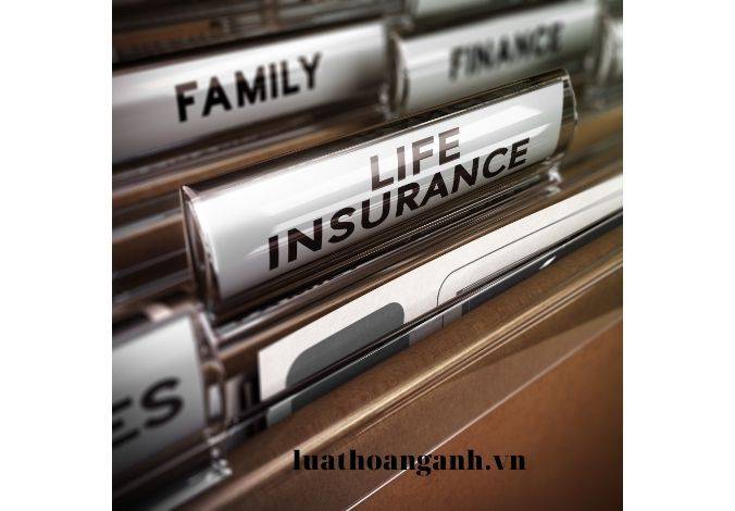 Có những loại hợp đồng chủ yếu nào?