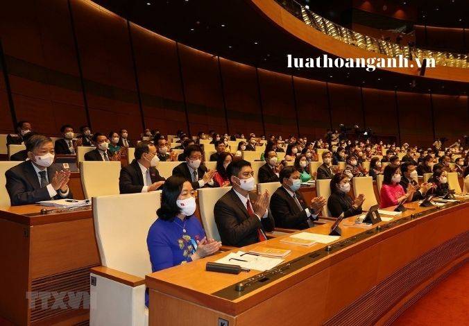 Quyền yêu cầu báo cáo, cung cấp tài liệu, cử thành viên đến xem xét, xác minh của Hội đồng dân tộc, Ủy ban của Quốc hội như thế nào?