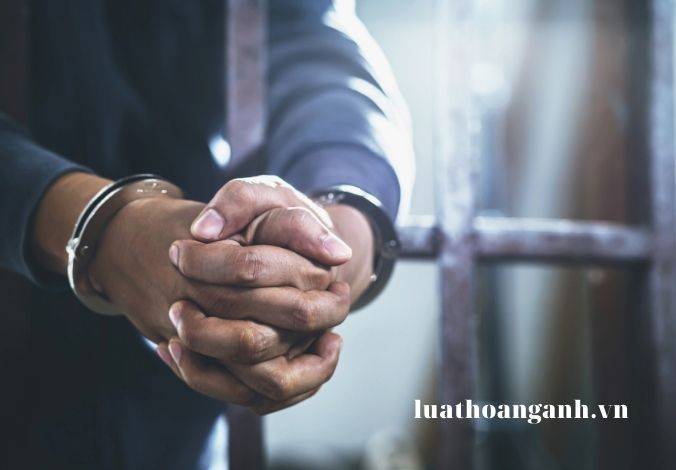 Tội vi phạm các quy định về quản lý đất đai là gì?