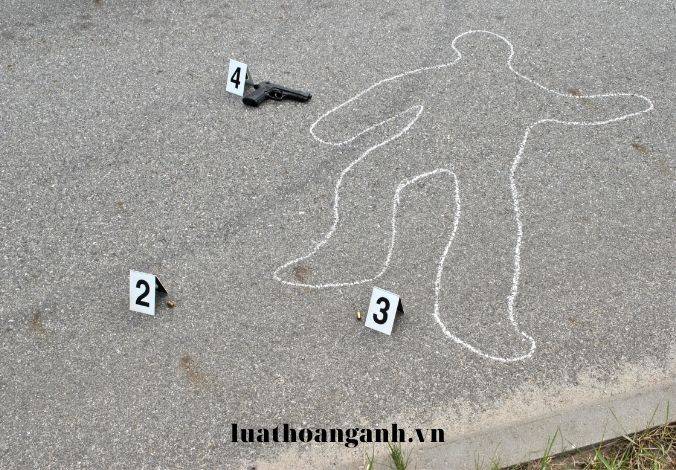 Tội vi phạm quy định về quản lý rừng là gì?