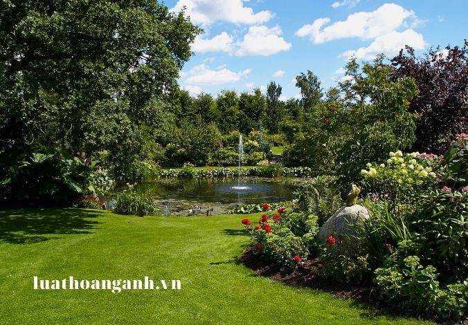 Vi phạm quy định về xử lý vật thể thuộc diện kiểm dịch thực vật bị xử phạt như thế nào?