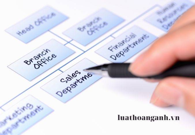 Thông báo kết quả đấu thầu và ký kết hợp đồng được quy định như thế nào?