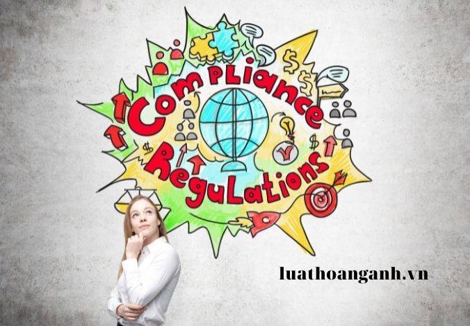 Thẩm định dự thảo quyết định của Ủy ban nhân dân cấp tỉnh như thế nào?