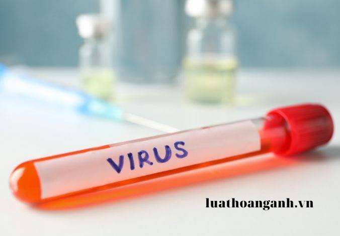 Nội dung thông tin, giáo dục, truyền thông về phòng, chống bệnh truyền nhiễm?