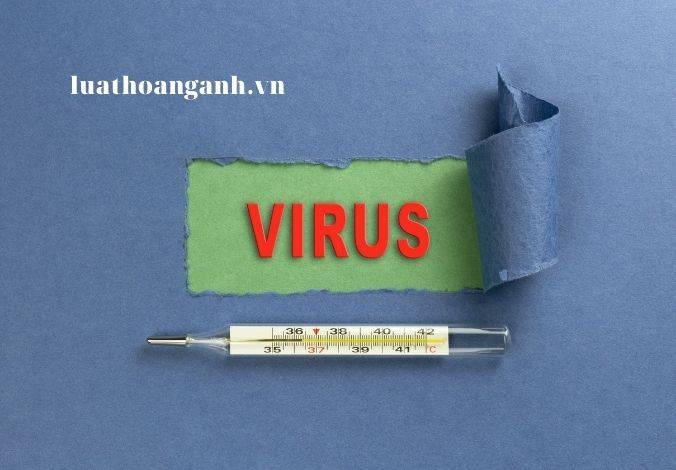 Thành lập Ban chỉ đạo chống dịch như thế nào?