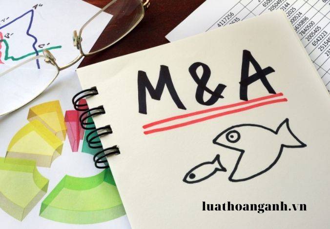 Phân tích vụ việc tập trung kinh tế của Thế giới Di động và Trần Anh (Phần 3)