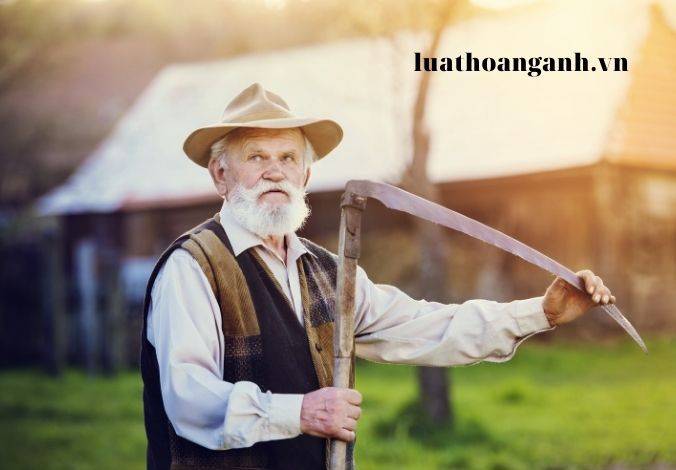 Cơ sở chăm sóc người cao tuổi là gì?