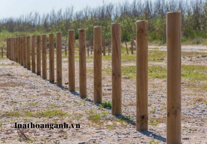 Hồ sơ, trình tự, thủ tục cấp giấy phép môi trường đươc quy định như thế nào? (Phần 3)