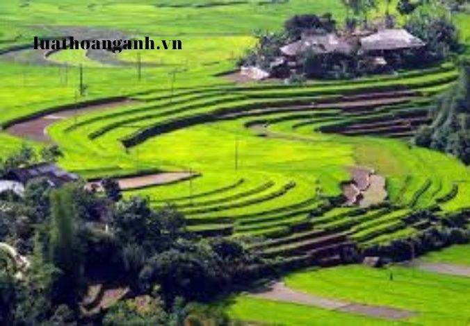 Đăng ký môi trường được quy định như thế nào? (Phần 2)
