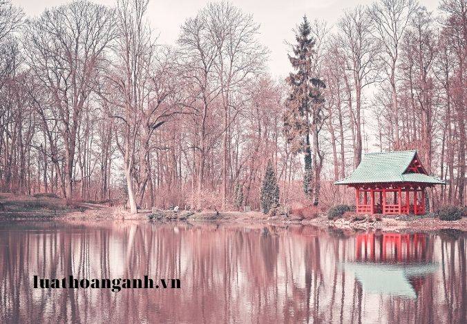 Vi phạm quy định về hoạt động của chi nhánh tổ chức trọng tài nước ngoài tại Việt Nam bị xử phạt như thế nào?