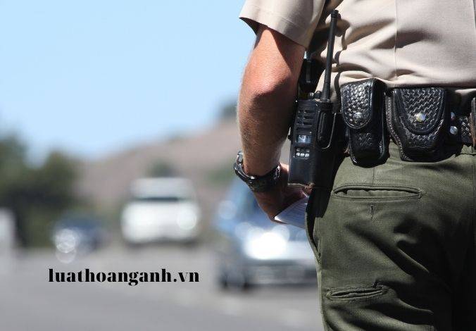 Cơ quan, tổ chức, người được giao sử dụng vũ khí, vật liệu nổ, công cụ hỗ trợ có trách nhiệm gì? 