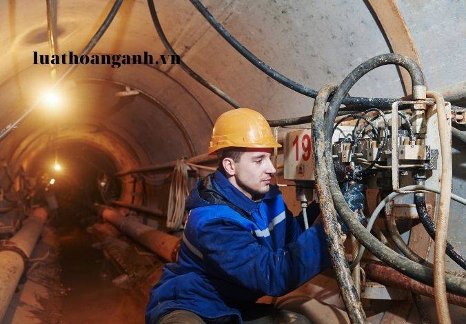 Ai được trang bị các công cụ hỗ trợ?