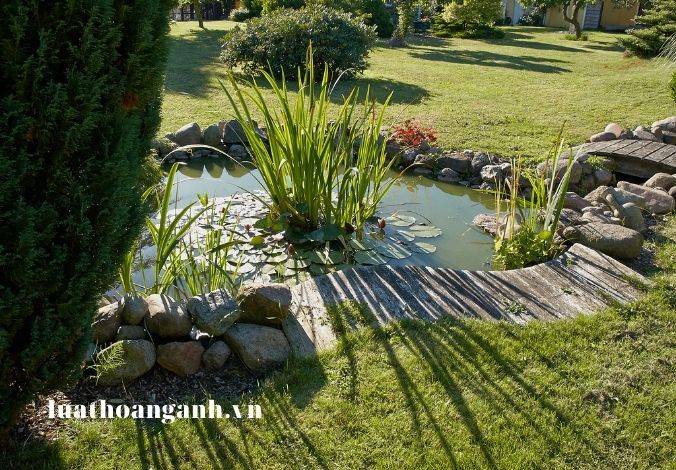 Thiệt hại do ô nhiễm, suy thoái môi trường và nguyên tắc xác định trách nhiệm bồi thường thiệt hại về môi trường được quy định như thế nào? (Phần 2)