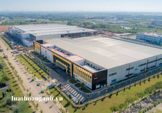 Giám định thiệt hại do suy giảm chức năng, tính hữu ích được quy định như thế nào?