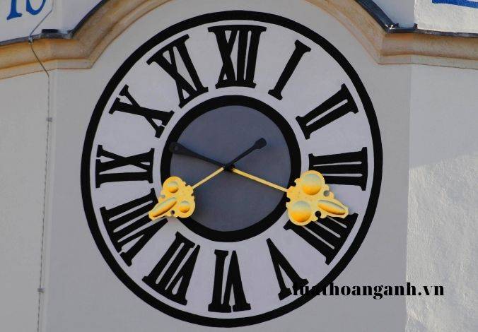 Trách nhiệm và quyền hạn của tổ chức chính trị - xã hội, tổ chức chính trị xã hộ - nghề nghiệp, tổ chức xã hội – nghề nghiệp là gì?