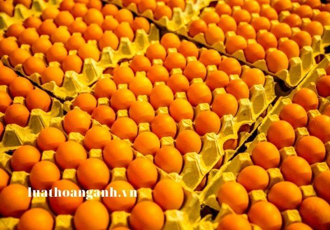 Vi phạm về sử dụng nguyên liệu để sản xuất, chế biến, cung cấp thực phẩm?
