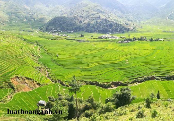 Hợp tác quốc tế về việc thực hiện điều ước quốc tế về đa dạng sinh học được quy định như thế nào? (Phần 1)