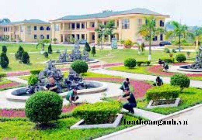 Dịch vụ môi trường liên quan đến đa dạng sinh học được quy định như thế nào?