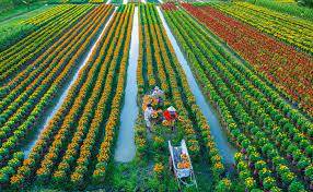 Hoàn trả chi phí điều tra cơ bản địa chất về khoáng sản, chi phí thăm dò khoáng sản được quy định như thế nào? (Phần 2)