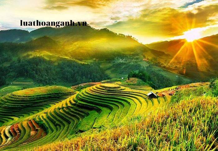 Dịch vụ luật sư tư vấn tại tỉnh Yên Bái