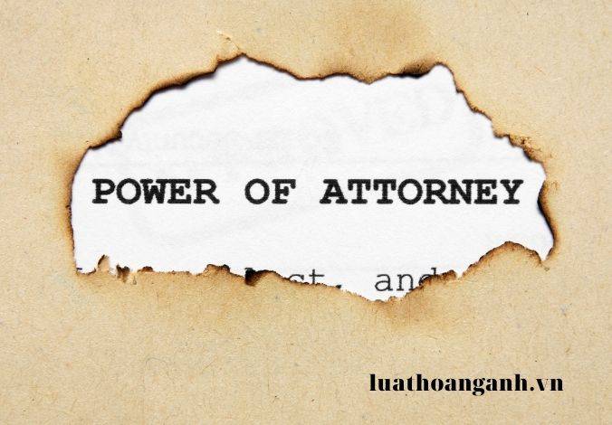 Tiêu chuẩn của người giám định tư pháp theo vụ việc và điều kiện của Tổ chức giám định tư pháp theo vụ việc ?