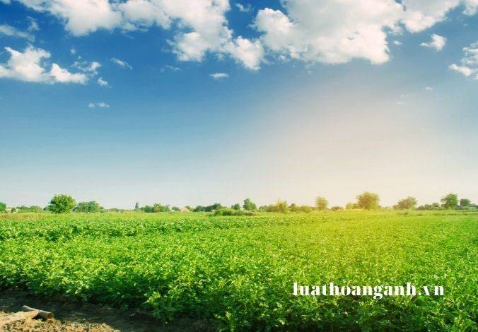 Yêu cầu đối với hoạt động điều tra cơ bản tài nguyên, môi trường biển và hải đảo là gì?