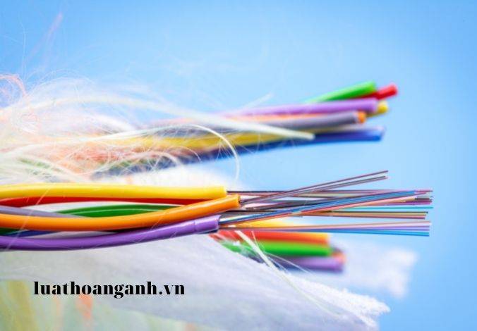 Trình tự tổ chức tuyển dụng viên chức?