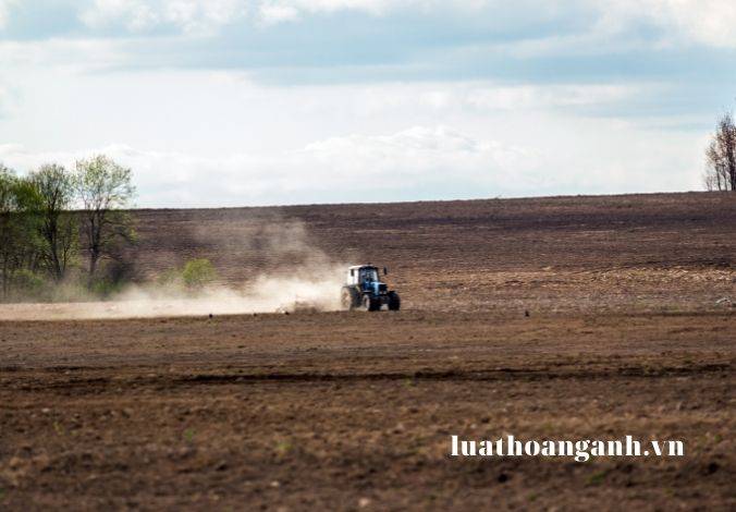 Nguyên tắc, căn cứ lập, điều chỉnh chương trình quản lý tổng hợp tài nguyên vùng bờ được quy định như thế nào?