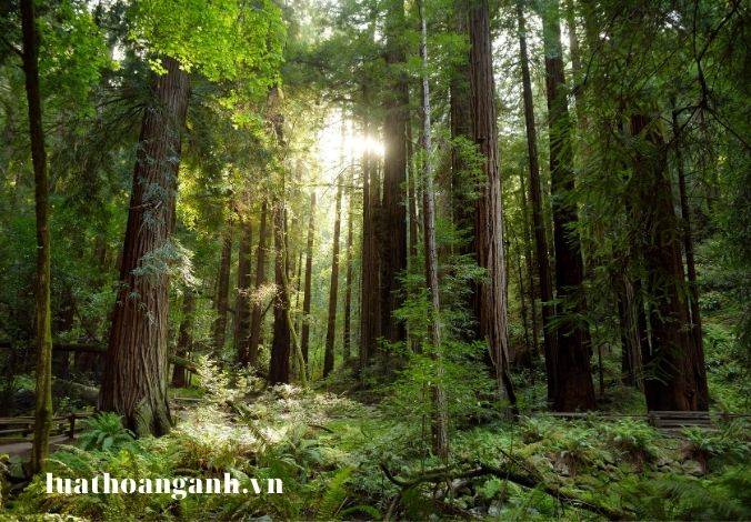 Nguyên tắc kiểm soát ô nhiễm môi trường biển và hải đảo được quy định như thế nào? (Phần 1)