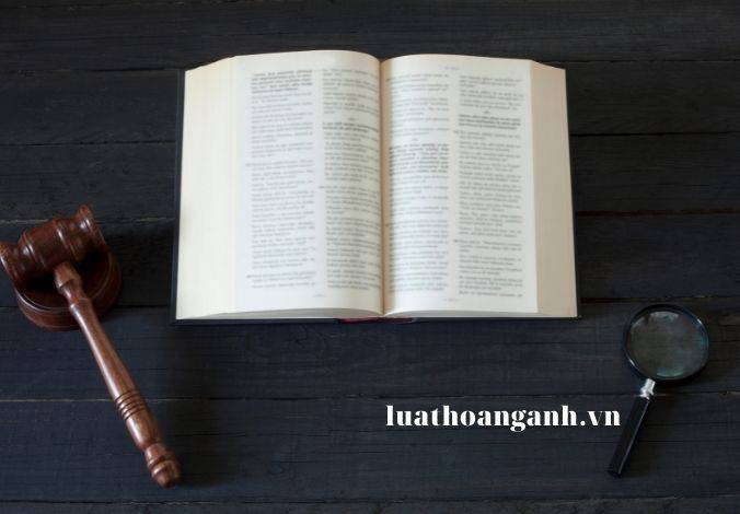 Quyền, trách nhiệm của tổ chức, cá nhân trong hoạt động thủy lợi?